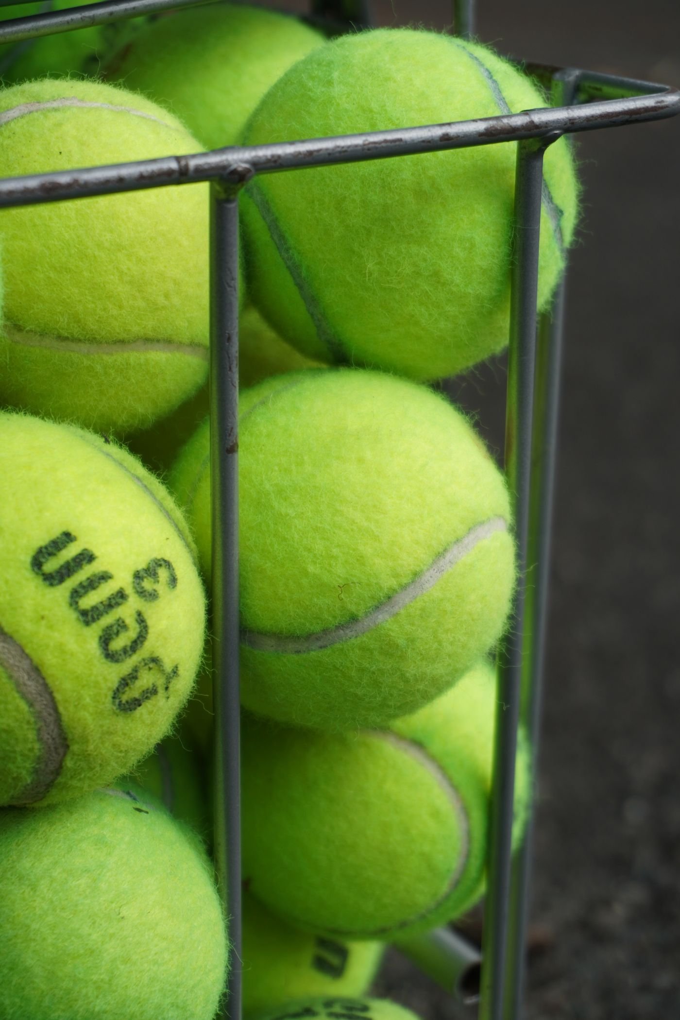 Yellow tennis balls in a wire training hopper